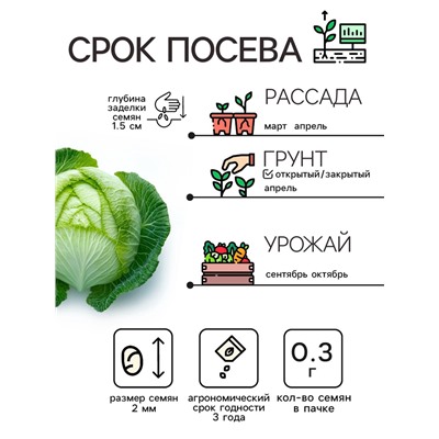 Семена Капуста белокочанная "Подарок", 0,3 г