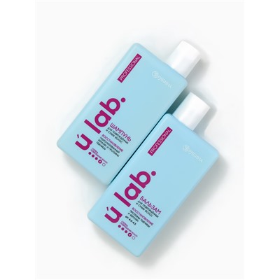 Подарочный набор «Восстановление»: шампунь 250 мл, бальзам 250 мл, URAL LAB