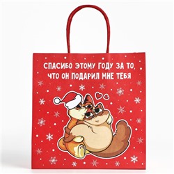 Пакет подарочный новогодний «Спасибо этому году», 22×22×11 см