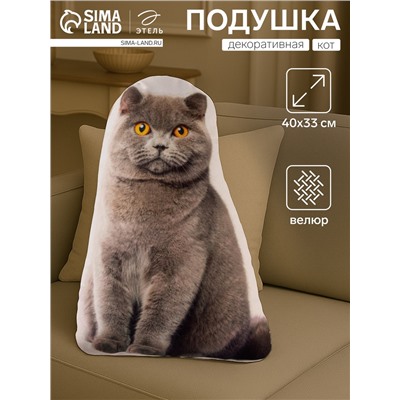 Подушка декоративная Этель «Кот» 33×40 см, велюр, 100% п/э