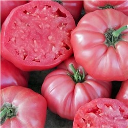 7158Т Томат Брендивайн розовый 10шт