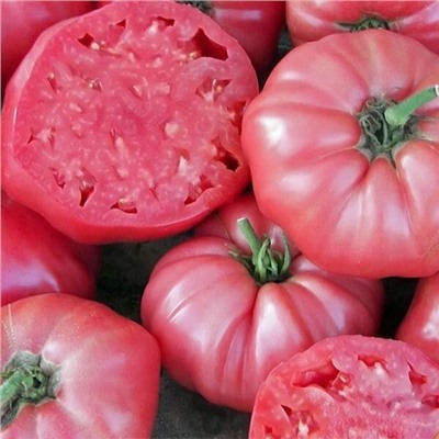 7158Т Томат Брендивайн розовый 10шт