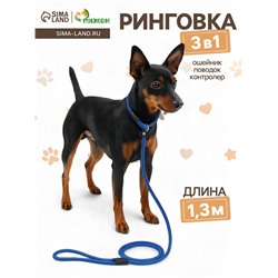 Ринговка для собак, 130×0.6 см, синяя