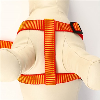 Комплект амуниции рельефный, 2 см, поводок 120 см, красно-жёлтый