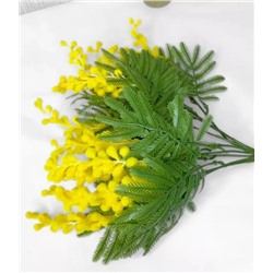 Мимоза 5 веточек, высотой 40см