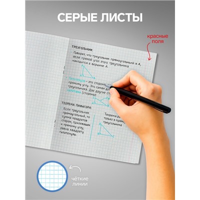 Комплект тетрадей из 4 штук, 96 листов в клетку Calligrata "Россия", обложка мелованный картон, блок №2, белизна 75% (серые листы)