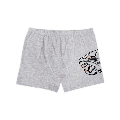 3917 Боксеры для мальчиков многоцвет (BAYKAR)