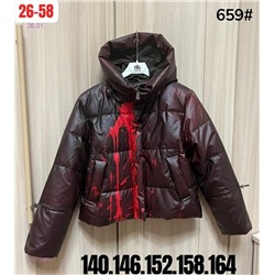 куртка весна 2057129-1