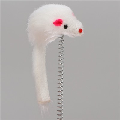 УЦЕНКА Игрушка для кошек «Загадочный круг - Рыбки», 23×7 см, красная/серая