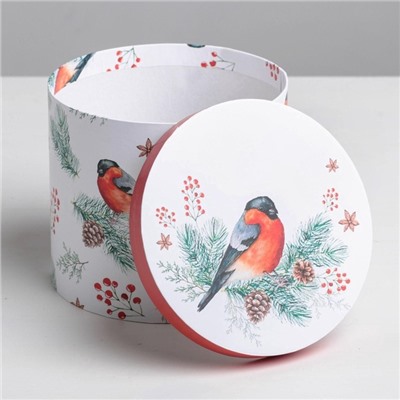 Набор подарочных коробок 5 в 1 «Европейский», 13×14 ‒ 19.5×22 см, Новый год