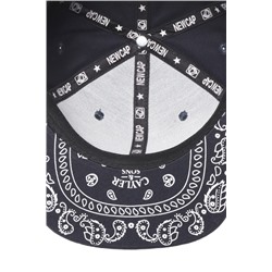 Бейсболка ZHR Snapback N-146 Кот