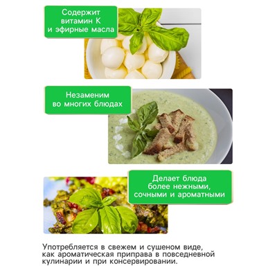 Семена Базилик «Крупнолистный», 0.2 г, «Рецепты дедушки Никиты»