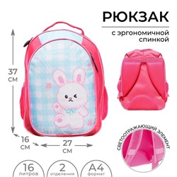 Рюкзак школьный, эргономичная спинка, 37×27×16 см «Зайка»