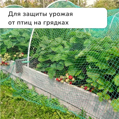 Сетка садовая, мягкая, 5×4 м, ячейка 15×15 мм, от птиц, Greengo