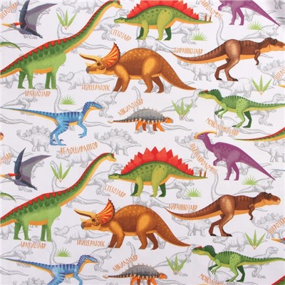 Пелёнка «Крошка Я. Динозавры», 70×120 см, бязь, хлопок 100%
