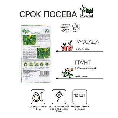 Семена Огурец "Зятек", F1, 10 шт + "Теща", F1, 10 шт серия Дуэт