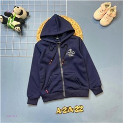 Толстовка 1981353-4