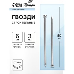 Гвозди ТУНДРА, строительные, ГОСТ 4028-63, без покрытия, 3×80 мм, фасовка 1 кг