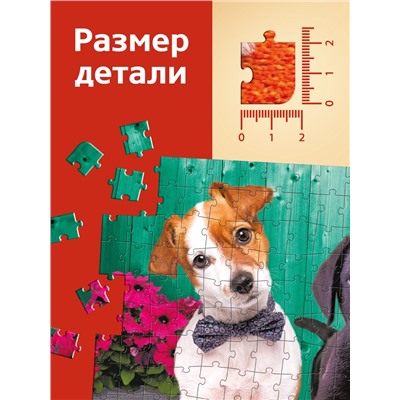 Пазл «Верные друзья», 260 элементов