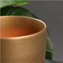 Горшок для цветов «Амелия», 4.7 л, d=21.5 см, h=19.5 см, керамический, с поддоном, золотистый