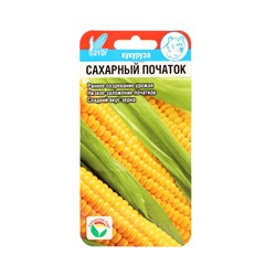 Семена Кукуруза сахарная «Сахарный початок», 6 шт., «Сибирский сад»