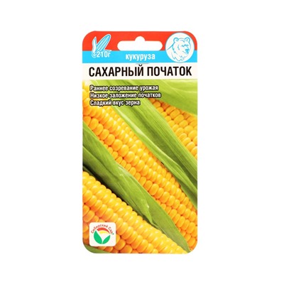 Семена Кукуруза сахарная «Сахарный початок», 6 шт., «Сибирский сад»