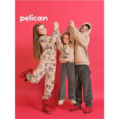 PELICAN Комплект GFANP3367U