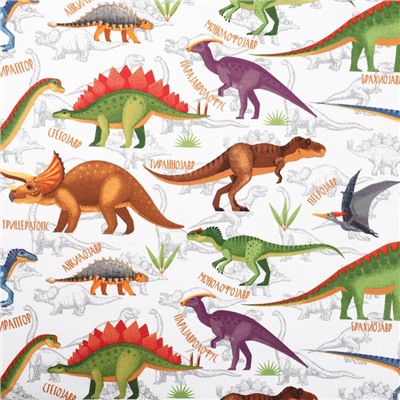 Штора портьерная «Этель. Динозавры», 145×260 см, рогожка