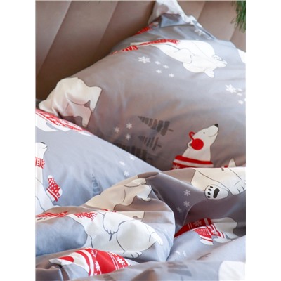 Постельное бельё 2-спальное «Этель. Зимние игры», поплин