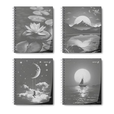 Тетрадь  48л  клетка на спирали пластик. обложка, ч/б запечат. титульн.лист "Лунный пейзаж" 01545(Т208) SVETOCH