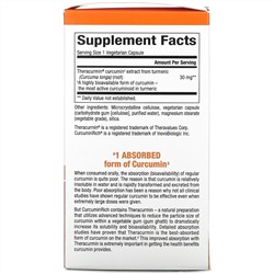 Natural Factors, CurcuminRich, Theracurmin, куркумин, 60 вегетарианских капсул
