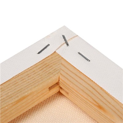 Холст на подрамнике «Гамма. Студия», хлопок 100%, акриловый грунт, 2×50×70 см, 400 г/м², крупное зерно