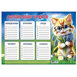Расписание уроков 20х29 см "Котята" Ру10-1 Гранит