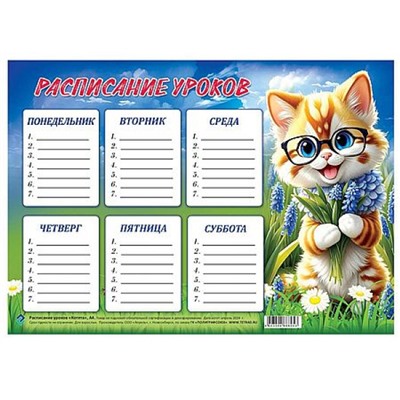 Расписание уроков 20х29 см "Котята" Ру10-1 Гранит