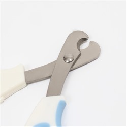 Ножницы-когтерезы средние с упором для пальца, 12×4.5×1.4 см, эконом, микс цветов