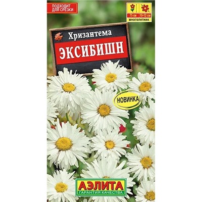 Хризантема Эксибишн Аэлита