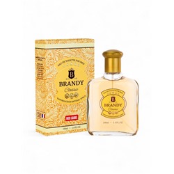 Туалетная вода мужская Brandy Classic, 100 мл