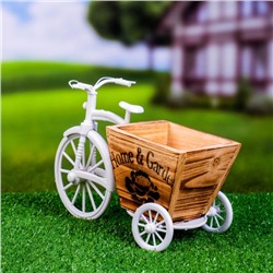 Фигурное кашпо для цветов «Велосипед Home & Garden», 26×12×18 см, дерево, пластик, белое
