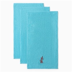 Полотенца махровые «Этель» Cherry, 3 шт., 30×60 см, хлопок 100%, голубые