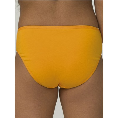 PELICAN Трусы GULB3301/1(3)