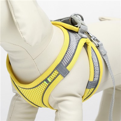 Комплект с мягкой шлейкой, быстросъемный, XS поводок 150×1.5 см, ОШ 29-32 ОГ 31-34 см, жёлтый