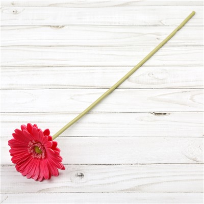 Цветок искусственный Гербера 43 см малиновый АКЦИЯ / 1501 /уп 56/560/ латэкс