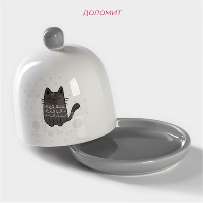 Лимонница Доляна «Уютные коты», 9×9 см