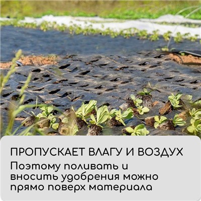 Агроткань застилочная, с разметкой, 5×3.2 м, плотность 100 г/м², полипропилен, Greengo, Эконом 50%