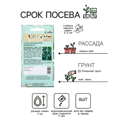 Семена Огурец F1 «Корентин», 8 шт., «Seminis-Агрос»