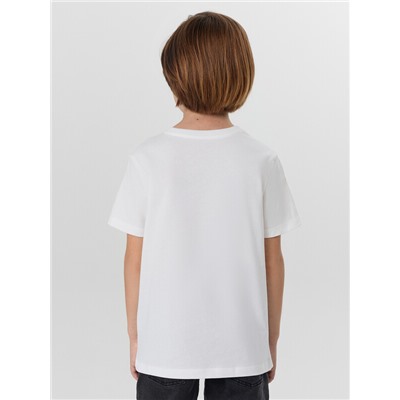 ФУТБОЛКА ДЛЯ МАЛЬЧИКОВ 113379