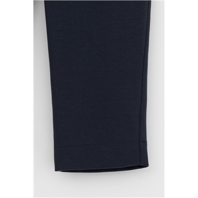 VERY NEAT Брюки ЕВТ 4134