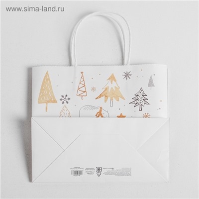 Пакет подарочный новогодний крафт «С Новым годом», 25×22×12 см