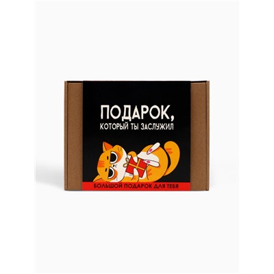 Подарочный набор «Подарок, который ты заслужил»