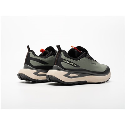 Кроссовки Salomon Odyssey ELMT Advanced
